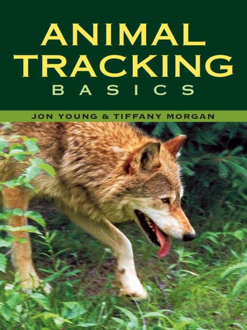 Cover image for Animal Tracking Basics